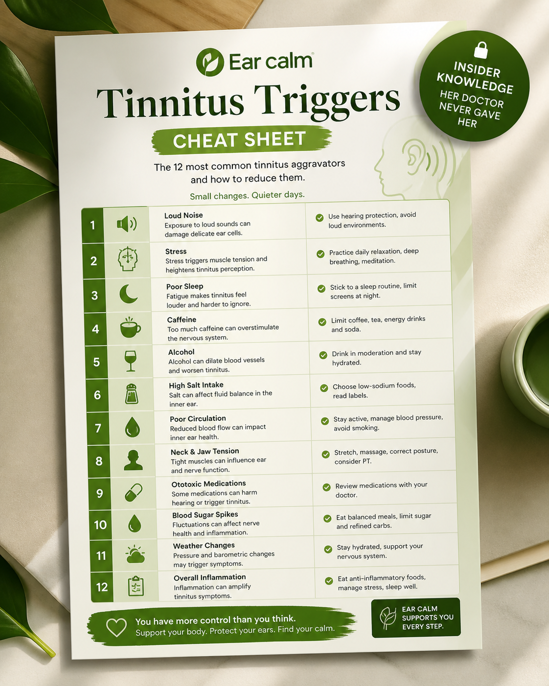 EarCalm Tintius Triggers E-Book